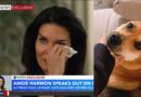 Angie Harmon Tearfully Speaks Out After Driver Shoots Dog