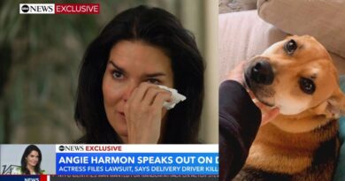 Angie Harmon Tearfully Speaks Out After Driver Shoots Dog