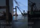 Baltimore bridge demolished with explosives | DW News