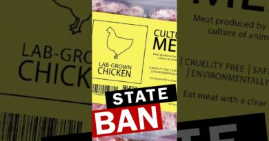 Ban Lab-Grown Meat 🍗