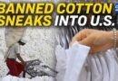 Banned Cotton Found in One-Fifth of US, Global Stores | China in Focus
