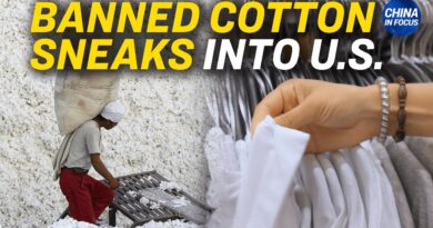 Banned Cotton Found in One-Fifth of US, Global Stores | China in Focus