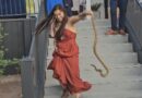 Brave Bridesmaid Removes Unwanted Snake From Wedding