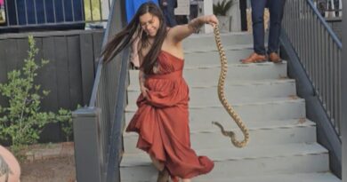 Brave Bridesmaid Removes Unwanted Snake From Wedding