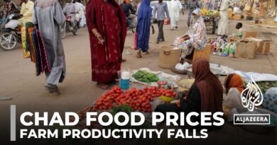 Chad food prices: Millions go hungry as farm productivity falls