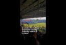 Crowds chant ‘Free Palestine’ during friendly match in Ireland | AJ #shorts