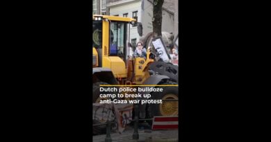 Dutch police bulldoze camp to break up anti-Gaza war student protest | AJ #shorts
