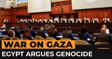 Egypt deals ‘diplomatic blow’ to Israel by joining ICJ genocide case | Al Jazeera Newsfeed