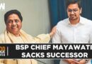 Elections 2024: Five Months In, BSP Supremo Mayawati Sacks Political Heir Akash Anand