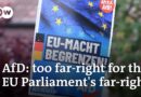 EU elections: Germany’s far-right AfD expelled from its own parliamentary group | DW News