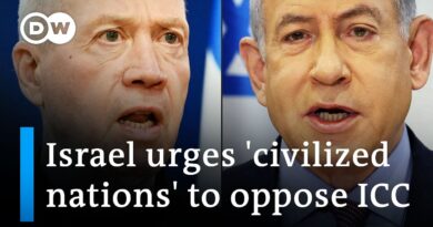 EU leaders divided on ICC arrest warrant bid for Netanyahu | DW News