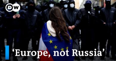 EU urges Georgia to drop ‘foreign influence’ law I DW News