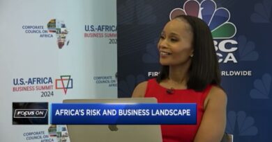 Focus On U.S.-Africa Business Summit 2024: Business interest in Africa