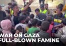 Full-blown famine’ in north Gaza: UN thousands of Palestinians are starving