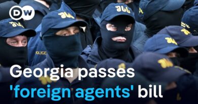 Georgia: Why ‘foreign agents’ bill triggered presidential veto and massive protests | DW News