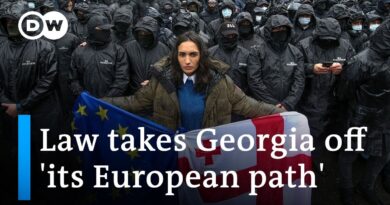 Georgian President promises to veto ‘foreign influence’ law as large-scale protests continue
