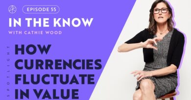How Currencies Fluctuate in Value | ITK with Cathie Wood