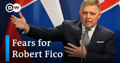 How did the attack on Slovakia’s prime minister come about? | DW News