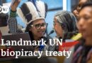 How will new UN biopiracy treaty prevent the abuse of Indigenous people’s resources in patents?