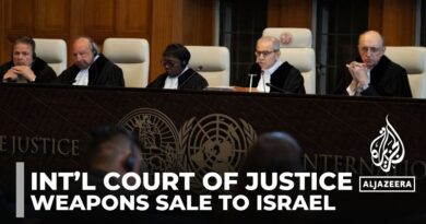 ICJ rejects emergency measures over German arms exports to Israel