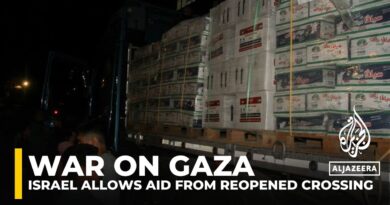 Increasing aid entering Gaza but Palestinians ‘still suffering’: AJE correspondent