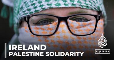 Irish solidarity with Palestine: Recognition follows decades of public support