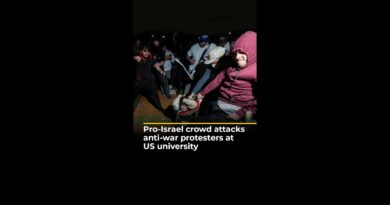 Israel supporters attack anti-war protesters at UCLA university in US | AJ #shorts