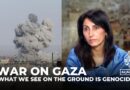 ‘Israeli actions in Gaza amount to genocide,’ says former PLO legal advisor