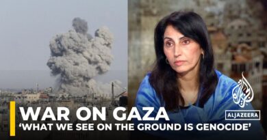 ‘Israeli actions in Gaza amount to genocide,’ says former PLO legal advisor