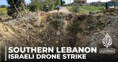 Israeli strikes in Lebanon: Hamas official and three others killed