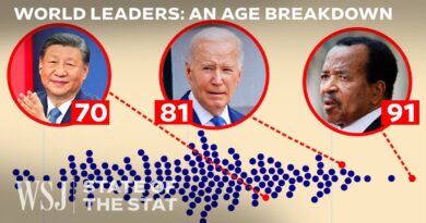 It’s Not Just the U.S. Why Are World Leaders So Old Now? | WSJ State of the Stat