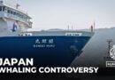 Japan launches first whaling ship in 70 years