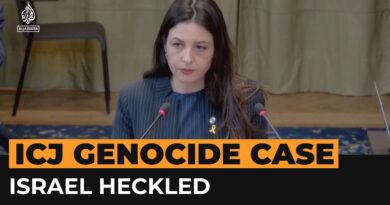 ‘Liars!’, Israeli official heckled at ICJ genocide hearing | AJ #shorts