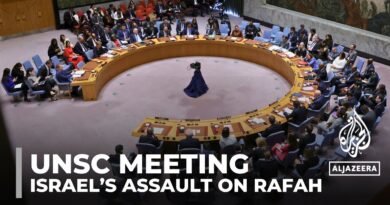 Members of the UN Security Council call for Israel to stop Rafah assault