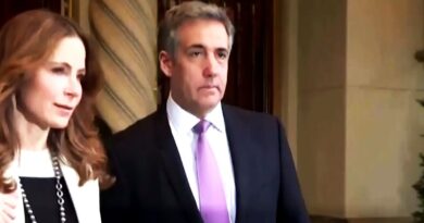 Michael Cohen Testifies He Stole From Trump Organization
