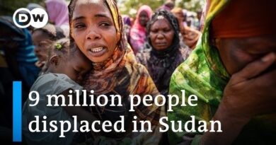 More internally displaced persons worldwide than ever before I DW News