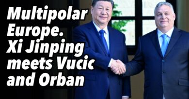 Multipolar Europe. Xi Jinping meets Vucic and Orban
