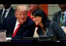 Nikki Haley Explains Why She���s Voting For Trump