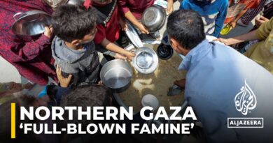 Northern Gaza in ‘full-blown famine’, UN food agency chief says