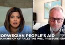 Norwegian People’s Aid: More countries recognising Palestine may pressure Israel for peace talks