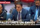 Palestinians should no longer have to die & suffer to remain on their land: Palestine’s UN envoy
