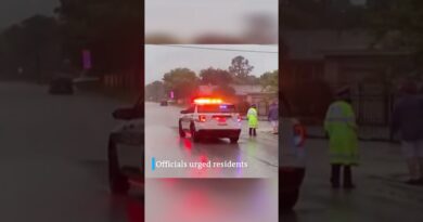 Powerful thunderstorms in southern Texas | DW News