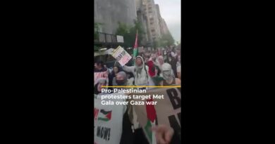 Pro-Palestinian protesters target Met Gala over Gaza war | #AJshorts