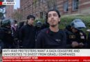 Protester at UCLA:  ‘This is not the end’ | #AJshorts