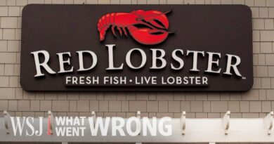 Red Lobster Is Hemorrhaging Millions Because of Endless Shrimp | WSJ What Went Wrong