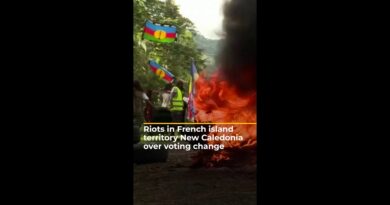 Riots in French island territory New Caledonia over voting change | #AJshorts