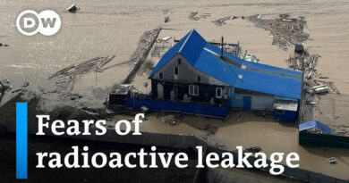 Russian authorities reject reports of radioactive leakage into Tobol river | DW News