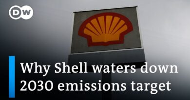 Shell shareholders back weakened emission goals | DW News