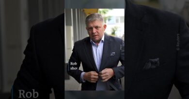 Slovakian Prime Minister Fico shot multiple times, remains in hospital | DW News