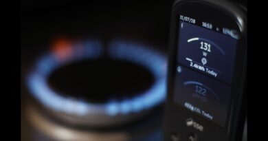Smart meters mean rationing energy by price: Climate Debate UK | NTD UK News